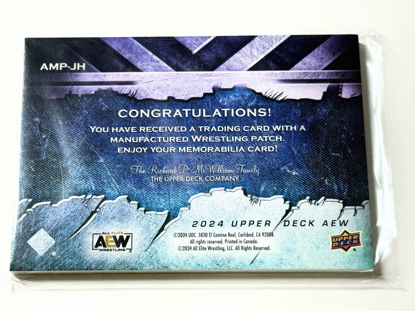 2024 Upper Deck AEW Flagship Jeff Hardy Manufactured Patch Card AMP-JH
