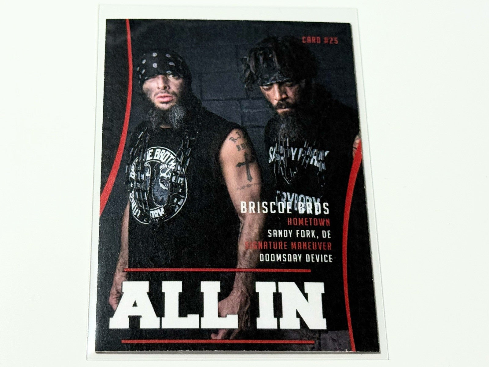 2018 AEW Highspots All In 2018 The Briscoe Brothers Base Card #25