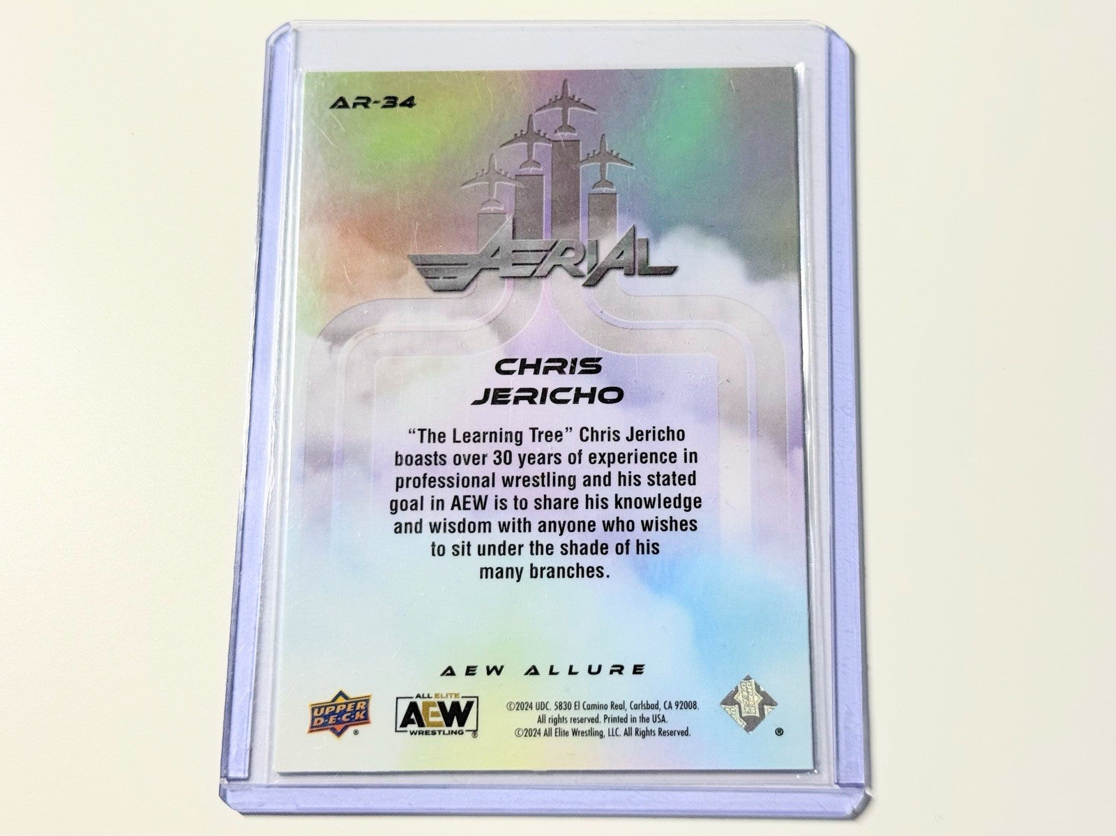 2024 Upper Deck AEW Allure Chris Jericho Aerial Card AR-24