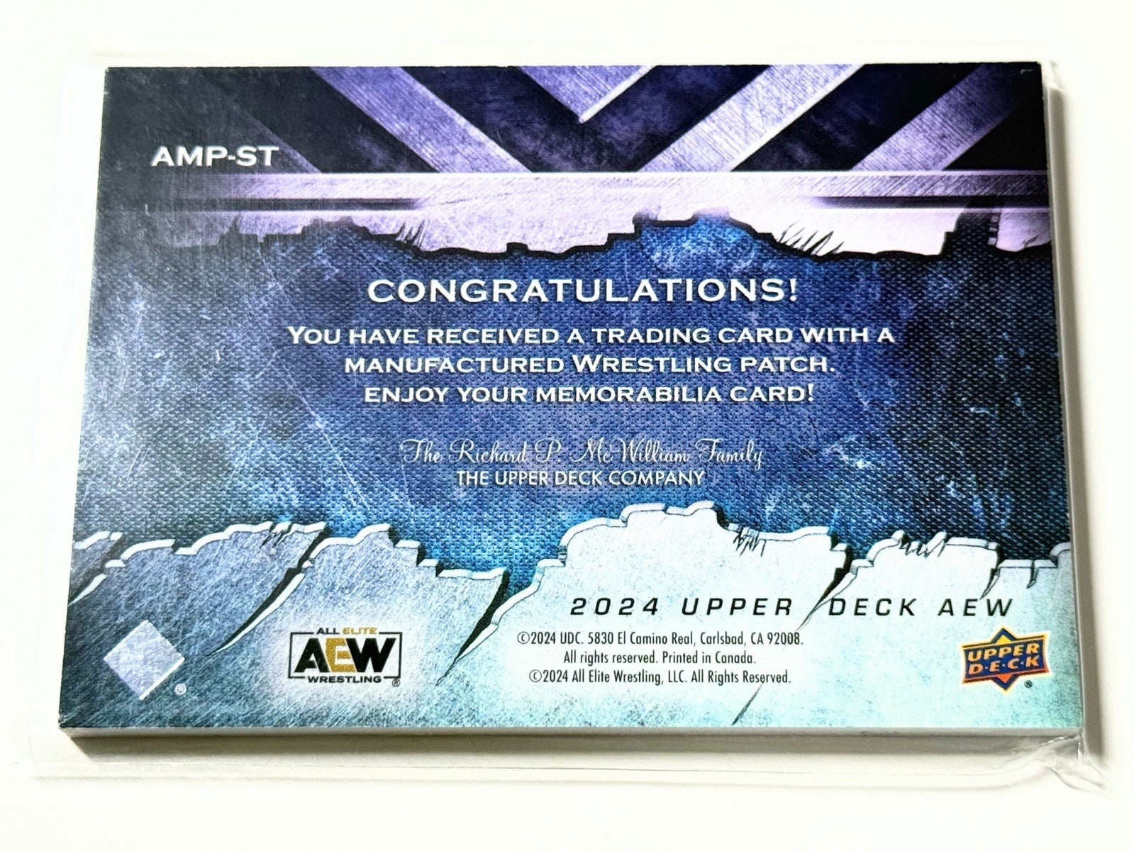 2024 Upper Deck AEW Flagship Sting Manufactured Patch Card AMP-ST