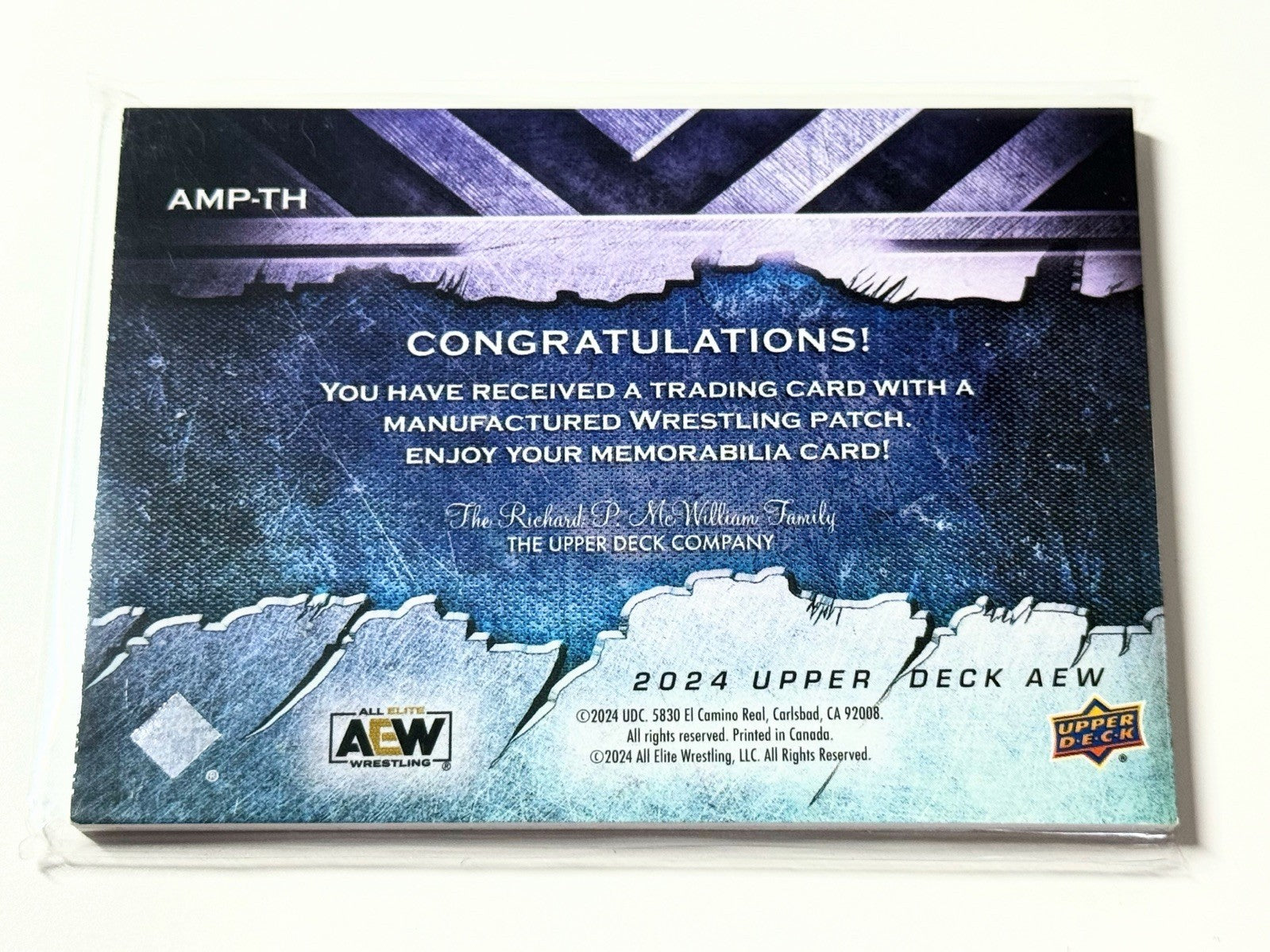 2024 Upper Deck AEW Flagship The Hardys Manufactured Patch Card AMP-TH