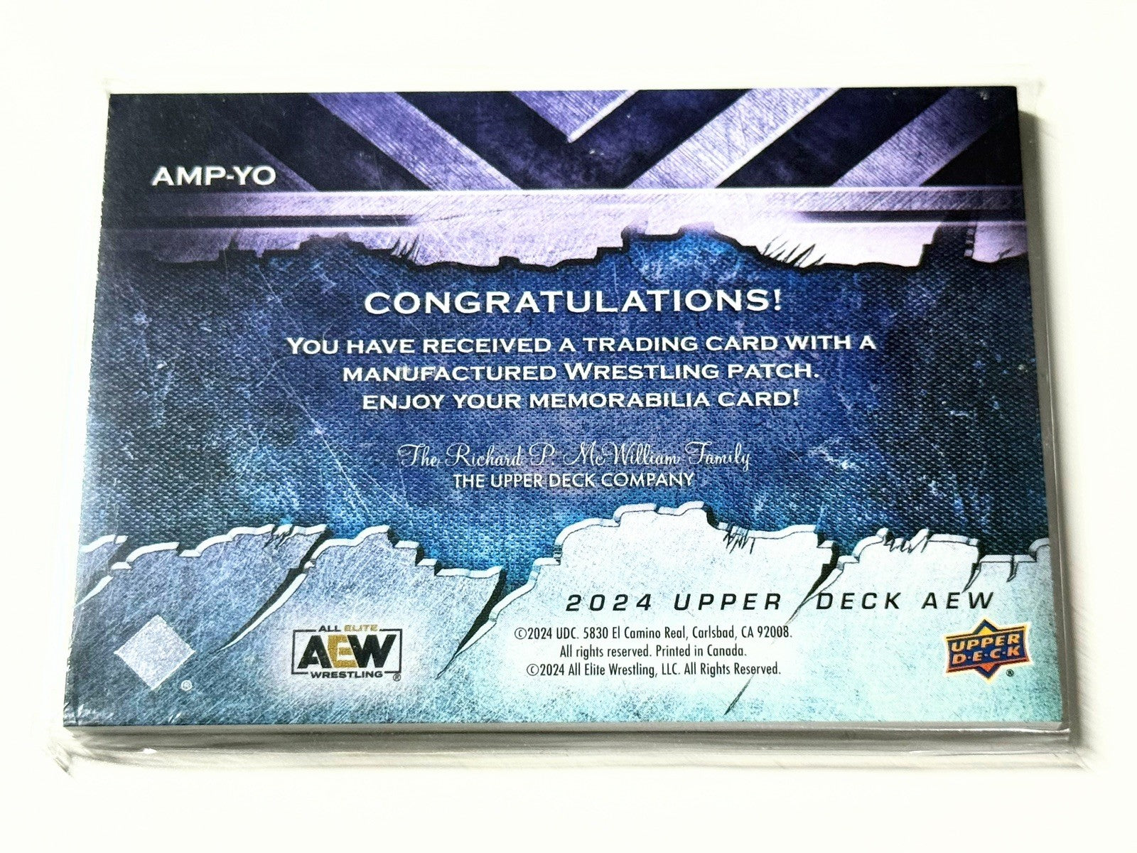 2024 Upper Deck AEW Flagship Young Bucks Manufactured Patch Card AMP-YB